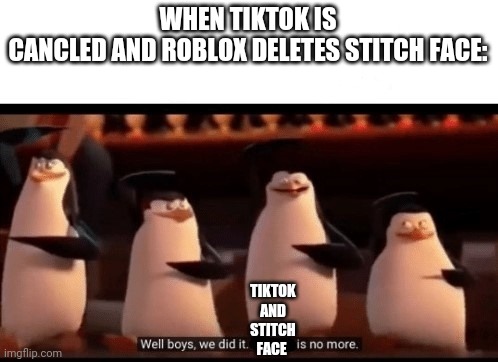 Well boys, we did it (blank) is no more | WHEN TIKTOK IS CANCLED AND ROBLOX DELETES STITCH FACE:; TIKTOK AND STITCH FACE | image tagged in well boys we did it blank is no more,no more,tiktok,me and the boys,finally a worthy opponent | made w/ Imgflip meme maker