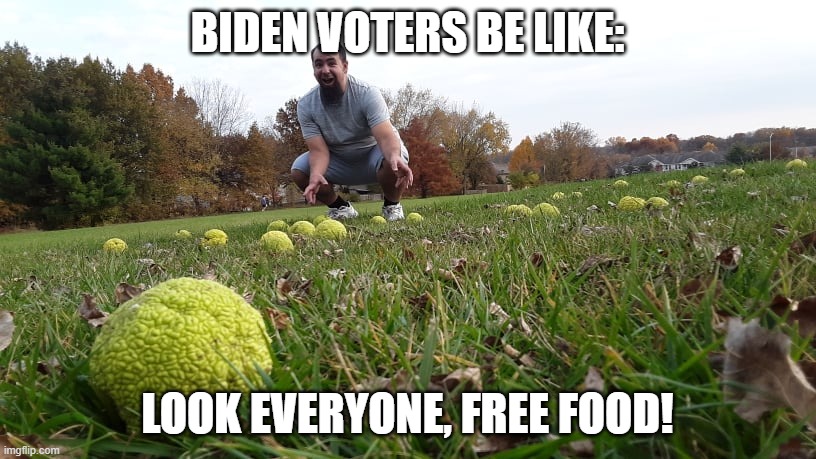 Free Stuff at the Park | BIDEN VOTERS BE LIKE:; LOOK EVERYONE, FREE FOOD! | image tagged in free stuff at the park | made w/ Imgflip meme maker