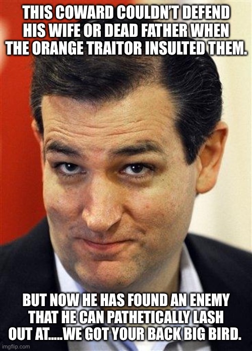 Bashful Ted Cruz | THIS COWARD COULDN’T DEFEND HIS WIFE OR DEAD FATHER WHEN THE ORANGE TRAITOR INSULTED THEM. BUT NOW HE HAS FOUND AN ENEMY THAT HE CAN PATHETICALLY LASH OUT AT…..WE GOT YOUR BACK BIG BIRD. | image tagged in bashful ted cruz | made w/ Imgflip meme maker