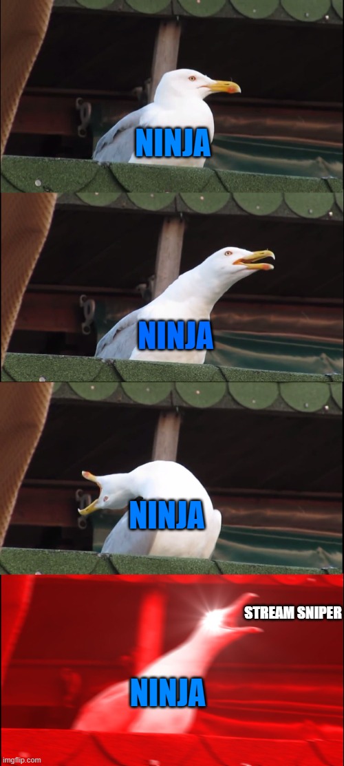 Ninja be like | NINJA; NINJA; NINJA; STREAM SNIPER; NINJA | image tagged in memes,inhaling seagull | made w/ Imgflip meme maker