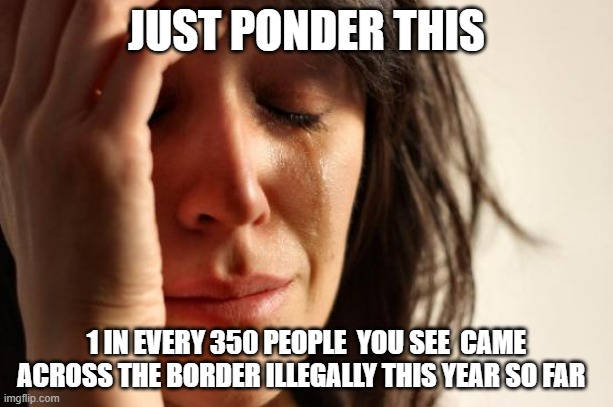 First World Problems | JUST PONDER THIS; 1 IN EVERY 350 PEOPLE  YOU SEE  CAME ACROSS THE BORDER ILLEGALLY THIS YEAR SO FAR | image tagged in memes,first world problems | made w/ Imgflip meme maker