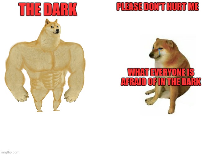 Dark out | THE DARK; PLEASE DON'T HURT ME; WHAT EVERYONE IS AFRAID OF IN THE DARK | image tagged in memes,buff doge vs cheems,wimp,oops,slowpoke | made w/ Imgflip meme maker