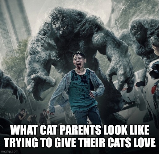 Trying to love cats | WHAT CAT PARENTS LOOK LIKE TRYING TO GIVE THEIR CATS LOVE | image tagged in cats,cat love,forced love,chasing cats,cat mom,cat dad | made w/ Imgflip meme maker