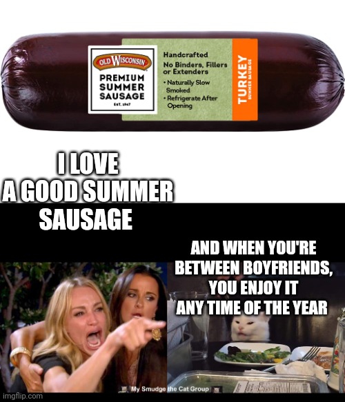 I LOVE A GOOD SUMMER SAUSAGE; AND WHEN YOU'RE BETWEEN BOYFRIENDS, YOU ENJOY IT ANY TIME OF THE YEAR | image tagged in smudge the cat | made w/ Imgflip meme maker