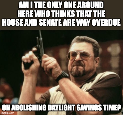Just for once... Do something useful! | AM I THE ONLY ONE AROUND HERE WHO THINKS THAT THE HOUSE AND SENATE ARE WAY OVERDUE; ON ABOLISHING DAYLIGHT SAVINGS TIME? | image tagged in memes,am i the only one around here | made w/ Imgflip meme maker