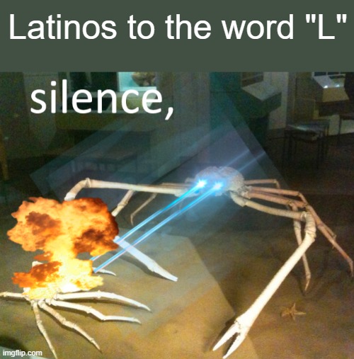 For example, Guerilla is ke-ri-a | Latinos to the word "L" | image tagged in silence crab | made w/ Imgflip meme maker