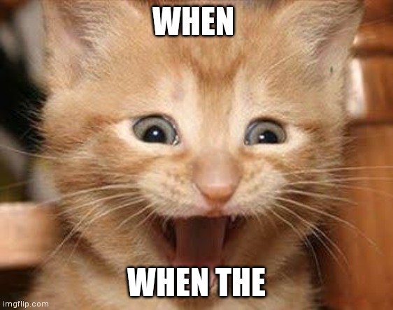 Excited Cat | WHEN; WHEN THE | image tagged in memes,excited cat | made w/ Imgflip meme maker