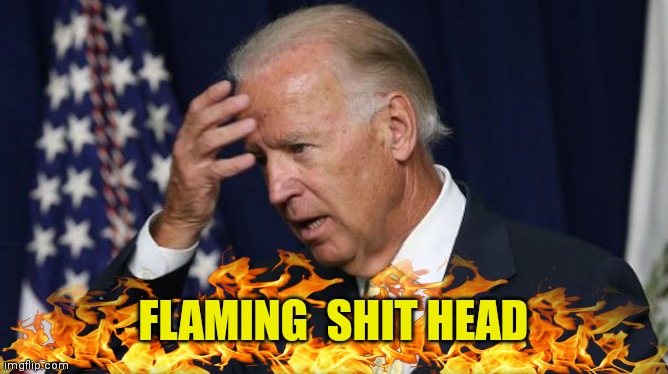 Joe Biden worries | FLAMING  SHIT HEAD | image tagged in joe biden worries | made w/ Imgflip meme maker