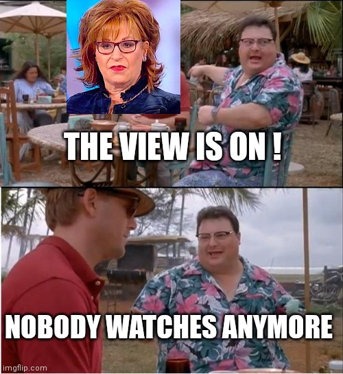 See Nobody Cares Meme | THE VIEW IS ON ! NOBODY WATCHES ANYMORE | image tagged in memes,see nobody cares | made w/ Imgflip meme maker