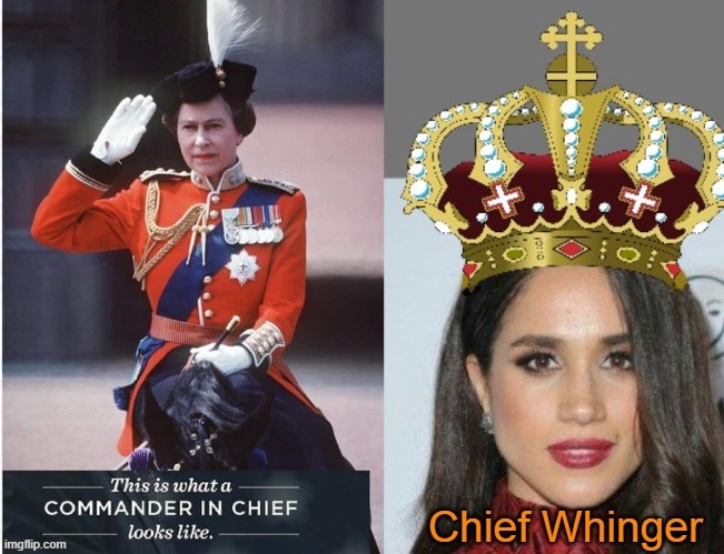 Class Shows ! | image tagged in meghan markle | made w/ Imgflip meme maker