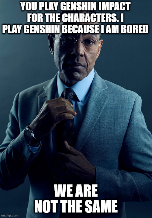 We are NOT the same |  YOU PLAY GENSHIN IMPACT FOR THE CHARACTERS. I PLAY GENSHIN BECAUSE I AM BORED; WE ARE NOT THE SAME | image tagged in gus fring we are not the same | made w/ Imgflip meme maker