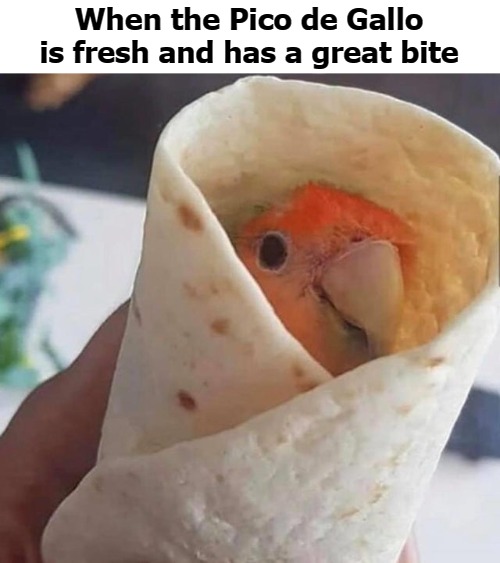 When the Pico de Gallo is fresh and has a great bite | image tagged in the size | made w/ Imgflip meme maker