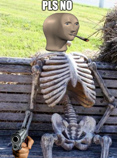 Waiting Skeleton | PLS NO | image tagged in memes,waiting skeleton | made w/ Imgflip meme maker