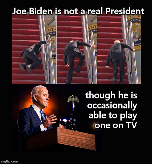 Joe Biden not a real President ... | image tagged in joe biden | made w/ Imgflip meme maker