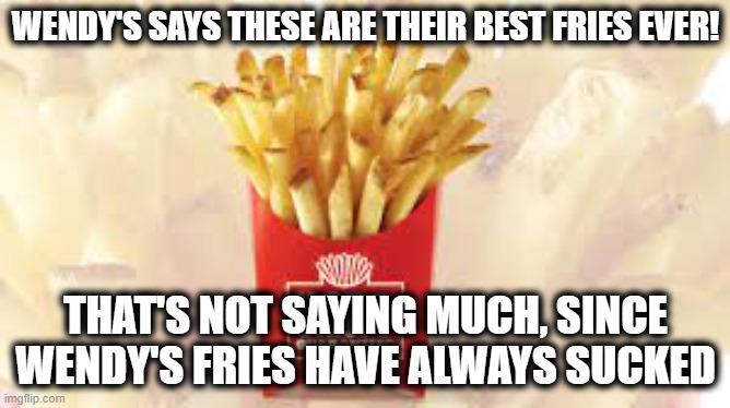 Wendy's has still not figured out the hot part |  WENDY'S SAYS THESE ARE THEIR BEST FRIES EVER! THAT'S NOT SAYING MUCH, SINCE WENDY'S FRIES HAVE ALWAYS SUCKED | image tagged in hot fries,not hot fries,chili,frosty | made w/ Imgflip meme maker