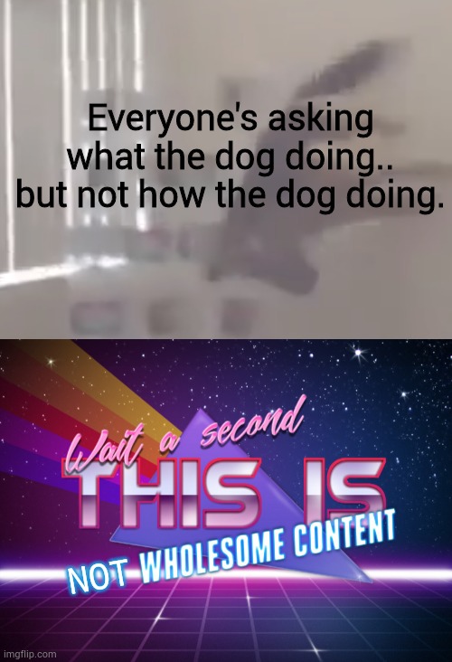 THE DOG HAS FEELINGS TOO PEOPLE :(= | Everyone's asking what the dog doing.. but not how the dog doing. NOT | image tagged in memes,sad but true,why tho,oh wow are you actually reading these tags | made w/ Imgflip meme maker