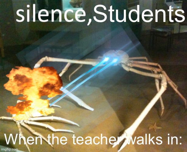 Silence Crab | Students; When the teacher walks in: | image tagged in silence crab | made w/ Imgflip meme maker