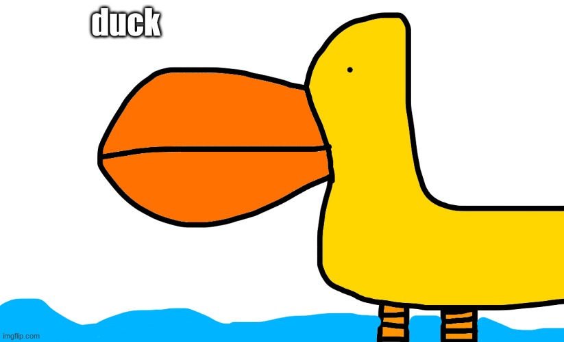 duck | duck | image tagged in duck | made w/ Imgflip meme maker