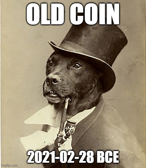 Ye Olde Coin (Before Crypto Economy) | OLD COIN; 2021-02-28 BCE | image tagged in crypto,tax,old money dog | made w/ Imgflip meme maker