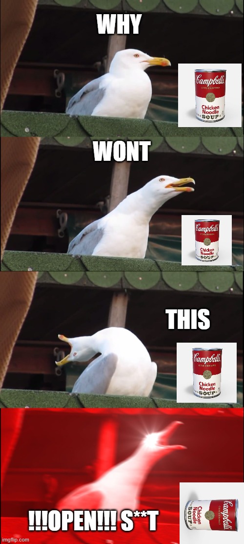 SOUP BIRD | WHY; WONT; THIS; !!!OPEN!!! S**T | image tagged in memes,inhaling seagull | made w/ Imgflip meme maker