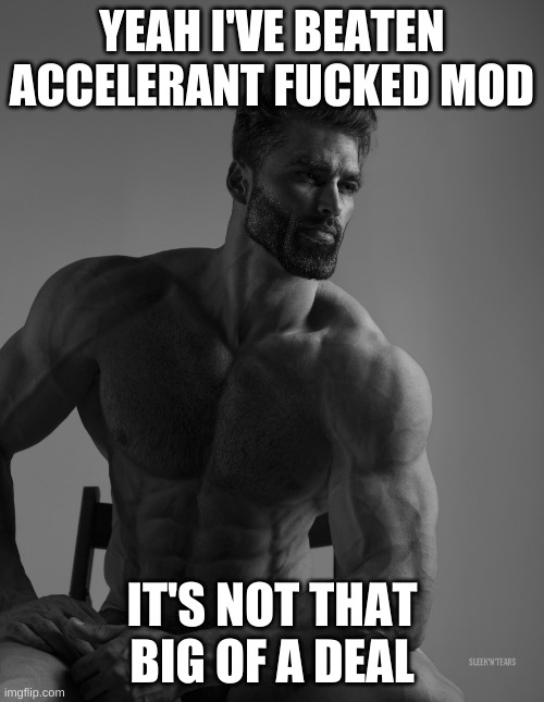 Giga Chad | YEAH I'VE BEATEN ACCELERANT FUCKED MOD; IT'S NOT THAT BIG OF A DEAL | image tagged in giga chad | made w/ Imgflip meme maker