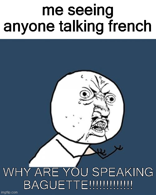 Y U No | me seeing anyone talking french; WHY ARE YOU SPEAKING BAGUETTE!!!!!!!!!!!!! | image tagged in memes,y u no | made w/ Imgflip meme maker