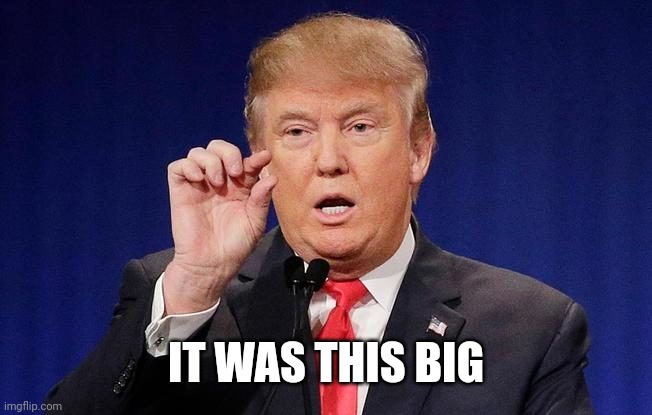 Tiny Dick Don | IT WAS THIS BIG | image tagged in tiny dick don | made w/ Imgflip meme maker