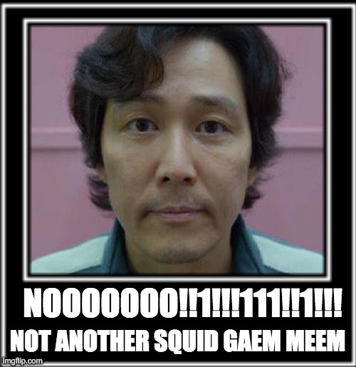 Squid Game Meme?! H O W |  NOOOOOOO!!1!!!111!!1!!! NOT ANOTHER SQUID GAEM MEEM | image tagged in seong gi-hun's id photo | made w/ Imgflip meme maker