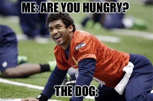 Russell Wilson Meme | ME: ARE YOU HUNGRY? THE DOG: | image tagged in russell wilson meme | made w/ Imgflip meme maker