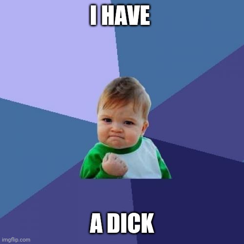 I have a dick | I HAVE; A DICK | image tagged in memes,success kid | made w/ Imgflip meme maker