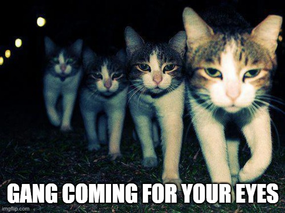 Interpret this right |  GANG COMING FOR YOUR EYES | image tagged in memes,wrong neighboorhood cats,riddle | made w/ Imgflip meme maker
