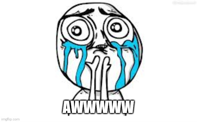 Crying Because Of Cute Meme | AWWWWW | image tagged in memes,crying because of cute | made w/ Imgflip meme maker