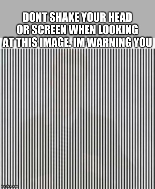 DONT SHAKE YOUR HEAD OR SCREEN WHEN LOOKING AT THIS IMAGE. IM WARNING YOU | made w/ Imgflip meme maker