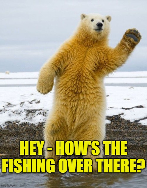 HEY - HOW'S THE FISHING OVER THERE? | made w/ Imgflip meme maker