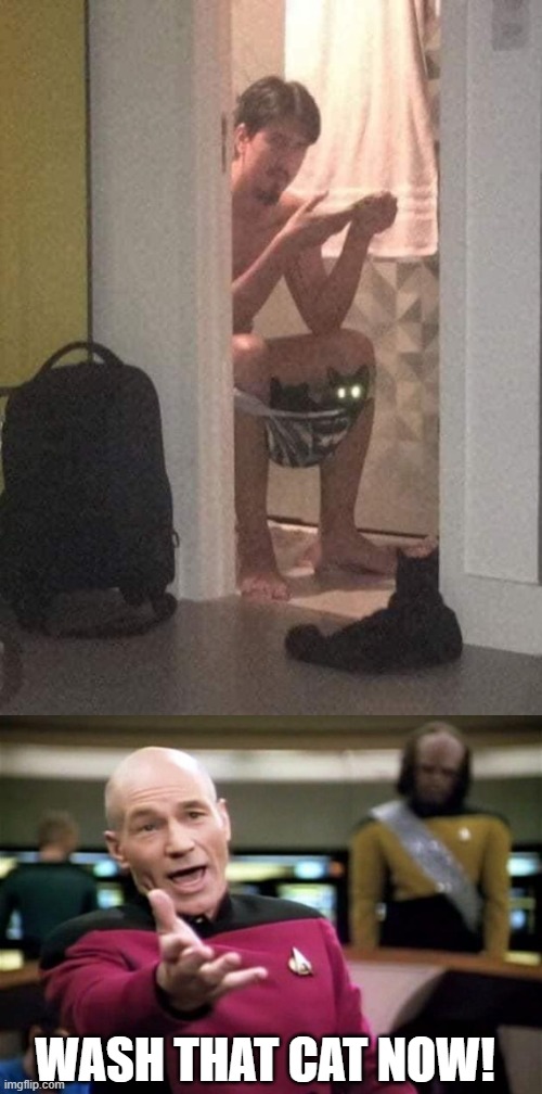 WASH THAT CAT NOW! | image tagged in startrek | made w/ Imgflip meme maker