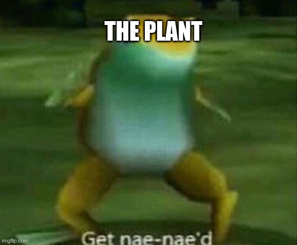 Get nae-nae'd | THE PLANT | image tagged in get nae-nae'd | made w/ Imgflip meme maker