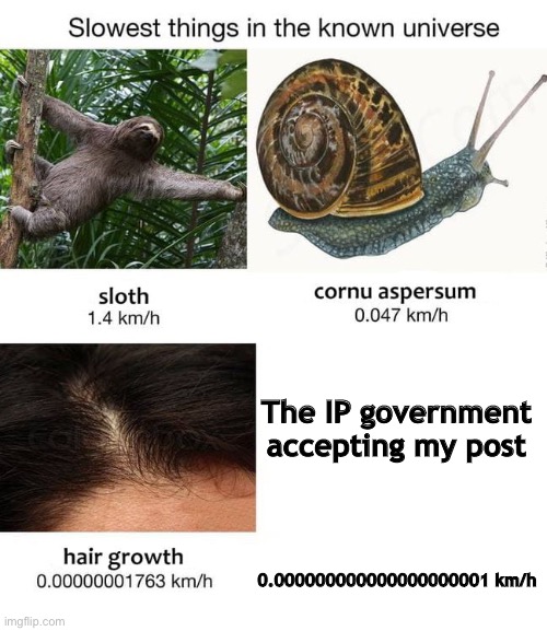 Slowest things | The IP government accepting my post; 0.000000000000000000001 km/h | image tagged in slowest things | made w/ Imgflip meme maker