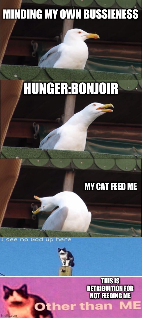 burb is lunch | MINDING MY OWN BUSSIENESS; HUNGER:BONJOIR; MY CAT FEED ME; THIS IS RETRIBUITION FOR NOT FEEDING ME | image tagged in memes,inhaling seagull | made w/ Imgflip meme maker