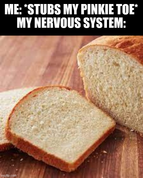 ME: *STUBS MY PINKIE TOE*
MY NERVOUS SYSTEM: | image tagged in bonjour,bread,pain | made w/ Imgflip meme maker