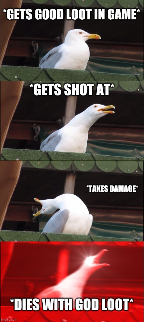 Inhaling Seagull | *GETS GOOD LOOT IN GAME*; *GETS SHOT AT*; *TAKES DAMAGE*; *DIES WITH GOD LOOT* | image tagged in memes,inhaling seagull | made w/ Imgflip meme maker