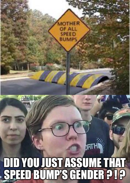 LOL | DID YOU JUST ASSUME THAT SPEED BUMP’S GENDER ? ! ? | image tagged in triggered liberal,funny,mother,speed bumps | made w/ Imgflip meme maker