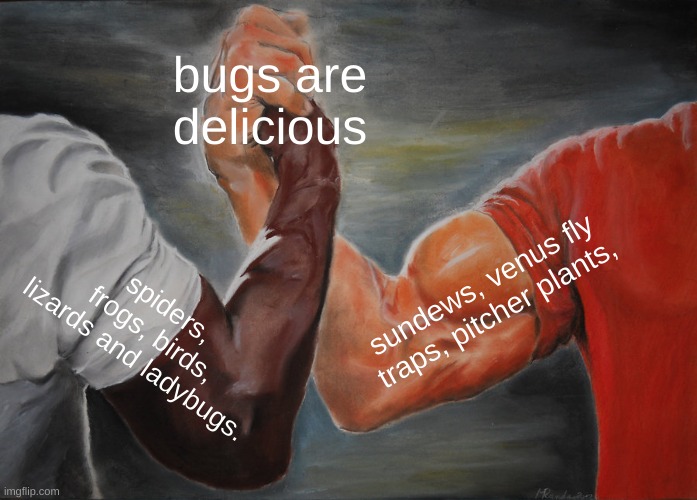 buges are good and so are plants | bugs are delicious; sundews, venus fly traps, pitcher plants, spiders, frogs, birds, lizards and ladybugs. | image tagged in memes,epic handshake | made w/ Imgflip meme maker
