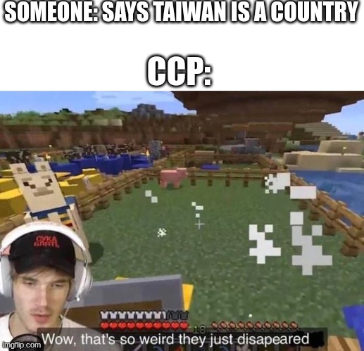 no more social credit score | SOMEONE: SAYS TAIWAN IS A COUNTRY; CCP: | image tagged in wow that's so weird they just disappeared | made w/ Imgflip meme maker