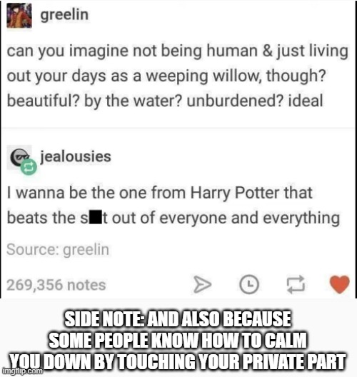 -how to calm the willow tree? -touch its private | SIDE NOTE: AND ALSO BECAUSE SOME PEOPLE KNOW HOW TO CALM YOU DOWN BY TOUCHING YOUR PRIVATE PART | made w/ Imgflip meme maker