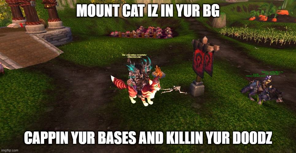 mount cat 3 |  MOUNT CAT IZ IN YUR BG; CAPPIN YUR BASES AND KILLIN YUR D00DZ | image tagged in world of warcraft,lolcats | made w/ Imgflip meme maker