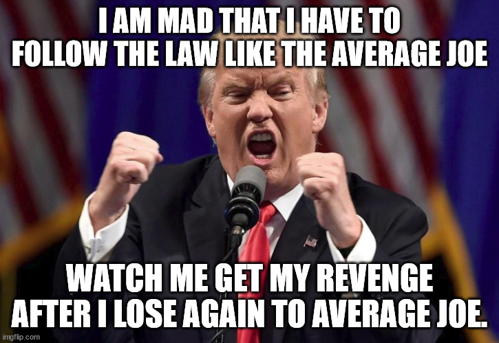 Trump reacts to losing in court | I AM MAD THAT I HAVE TO FOLLOW THE LAW LIKE THE AVERAGE JOE; WATCH ME GET MY REVENGE AFTER I LOSE AGAIN TO AVERAGE JOE. | image tagged in crybaby,donald trump,average joe,republicans,joe biden,supreme court | made w/ Imgflip meme maker