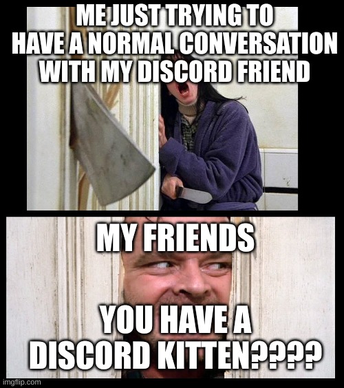 Here's Jhonny | ME JUST TRYING TO HAVE A NORMAL CONVERSATION WITH MY DISCORD FRIEND; MY FRIENDS; YOU HAVE A DISCORD KITTEN???? | image tagged in here's jhonny | made w/ Imgflip meme maker