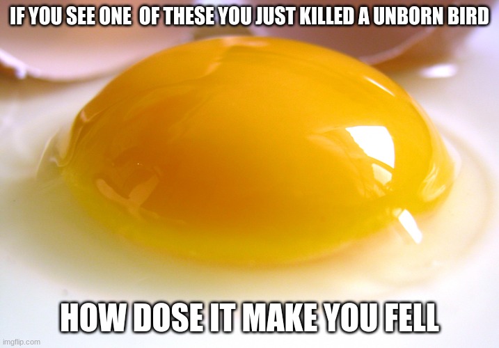 no title needed | IF YOU SEE ONE  OF THESE YOU JUST KILLED A UNBORN BIRD; HOW DOSE IT MAKE YOU FELL | image tagged in egg | made w/ Imgflip meme maker