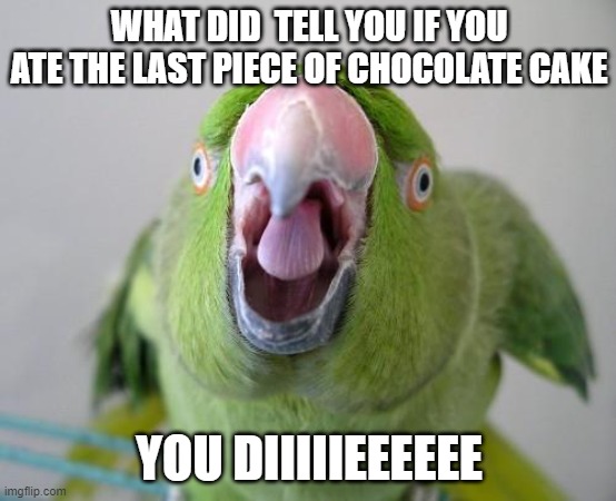 Parrot |  WHAT DID  TELL YOU IF YOU ATE THE LAST PIECE OF CHOCOLATE CAKE; YOU DIIIIIEEEEEE | image tagged in parrot | made w/ Imgflip meme maker