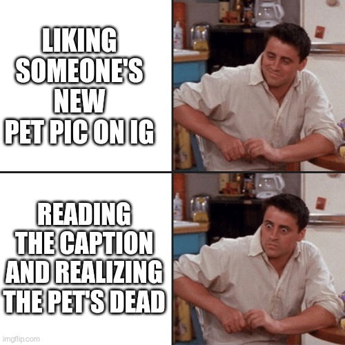 Pets on Instagram | LIKING SOMEONE'S NEW PET PIC ON IG; READING THE CAPTION AND REALIZING THE PET'S DEAD | image tagged in joey friends,pets,instagram,sad,uh oh | made w/ Imgflip meme maker